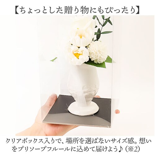 �u���U�[�h�t����- ���� ���d�p �ʔ� �h���C�t�����[ �t�����[�M�t�g �R���p�N�g�T�C�Y ������ ���{ ������ ���ւ��s�v �A���W�����g �������� �ԕr�Z�b�g �����O ��������� ������ �R���p�N�g _5