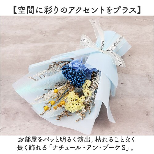 �u���U�[�h�t����- �ʔ� �h���C�t�����[ �t�����[�M�t�g �ԑ� ���� �� �t�����[�A�����W�����g �t�����[ ���킢�� ������� �����j�� �V�z�j�� ���� ���r���O ���z���j�� �C���e���A �ސE �ސE�j_1