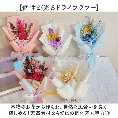 �u���U�[�h�t����- �ʔ� �h���C�t�����[ �t�����[�M�t�g �ԑ� ���� �� �t�����[�A�����W�����g �t�����[ ���킢�� ������� �����j�� �V�z�j�� ���� ���r���O ���z���j�� �C���e���A �ސE �ސE�j_2