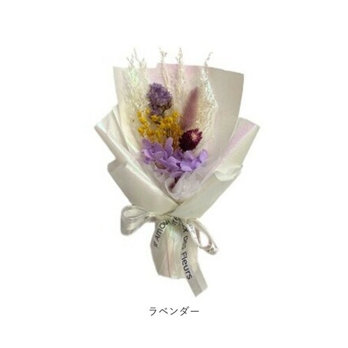 �u���U�[�h�t����- �ʔ� �h���C�t�����[ �t�����[�M�t�g �ԑ� ���� �� �t�����[�A�����W�����g �t�����[ ���킢�� ������� �����j�� �V�z�j�� ���� ���r���O ���z���j�� �C���e���A �ސE �ސE�j_12