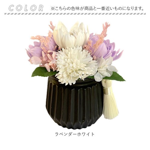 �v���U�[�u�h�t�����[ ���� ������ �ʔ� �v���U�[�h�t�����[���d �u���U�[�h�t�����[ ���d�p �u���U�[�u�h�t�����[ �t�����[�A�����W�����g ���~�G�[�� �f�� �N�[�� �������� �Ԃ肴�[�Ԃǂӂ��[ ��_6