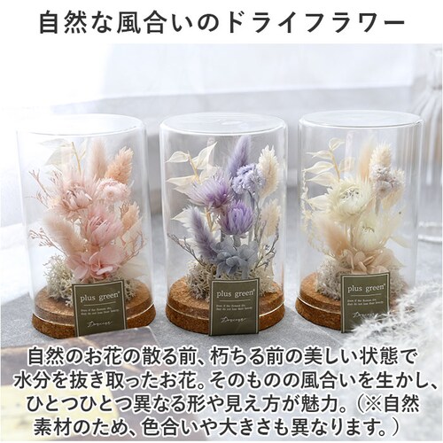 �h���C�t�����[ �K���X �ʔ� �{�g���t�����[ �R���N�{�g�� 75 �t�����[�A�����W�����g �K���X�{�g�� �v���U�[�u�h�t�����[ �t�����[�M�t�g �I�u�W�F �u�� �u���� ���� �� ������� �M�t�g ���j��_2