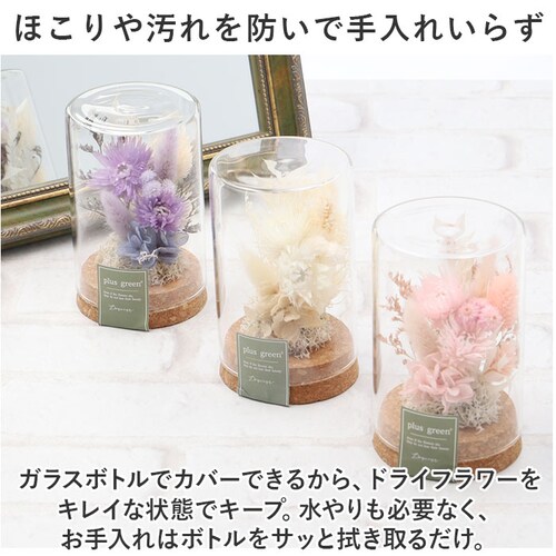 �h���C�t�����[ �K���X �ʔ� �{�g���t�����[ �R���N�{�g�� 75 �t�����[�A�����W�����g �K���X�{�g�� �v���U�[�u�h�t�����[ �t�����[�M�t�g �I�u�W�F �u�� �u���� ���� �� ������� �M�t�g ���j��_5