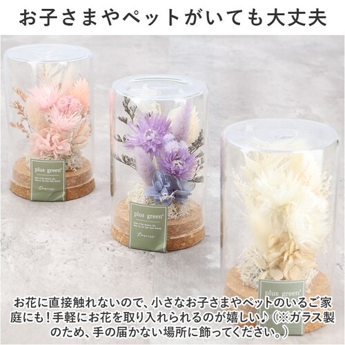 �h���C�t�����[ �K���X �ʔ� �{�g���t�����[ �R���N�{�g�� 75 �t�����[�A�����W�����g �K���X�{�g�� �v���U�[�u�h�t�����[ �t�����[�M�t�g �I�u�W�F �u�� �u���� ���� �� ������� �M�t�g ���j��_6