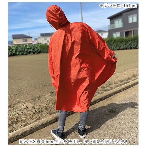 ���C���R�[�g �|���`�� �O�J�� �ʔ� ���C���|���`�� �����Y ���f�B�[�X ���j�Z�b�N�X �ʋ� �ʊw ���]�� �L�����v ���[�|�[�`�t�� ���@�\ �h�����n �ϐ�2������ ����ɂ��� ����1���� U-DAY_2