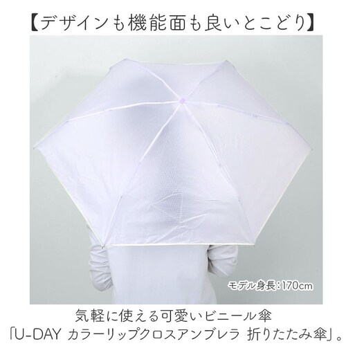 U-DAY �܂��ݎP D-065964 �ʔ� �܂肽���ݎP �r�j�[���P �P �r�j�[�� �܂肽���݃r�j�[���P �J�P ���� �J�T �R���p�N�g 50cm ������ �V���v�� ���f�B�[�X �����Y ������� ��_1