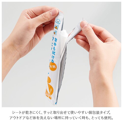 �E�F�b�g�V�[�g �唻 �ʔ� �E�F�b�g�^�I�� �S�g �w�����@����E�F�b�g�^�I�� ���炾�ӂ��V�[�g ���炾�@���V�[�g �̐@�� ���炾�ӂ� ���炾�@�� �g���̂� �g���؂� 30�� 30������ 30����� _7