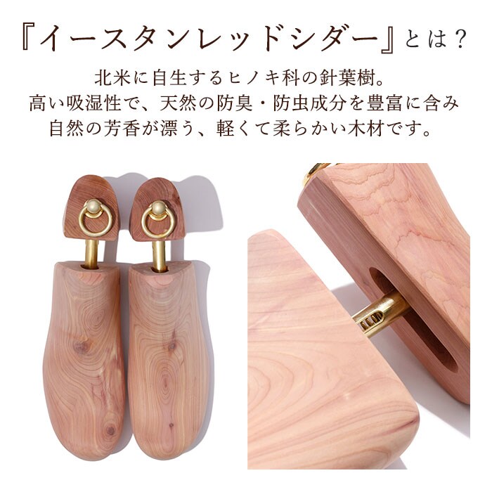ブーツタイプ L(27-28cm) シューキーパー 木製 通販 シューツリー