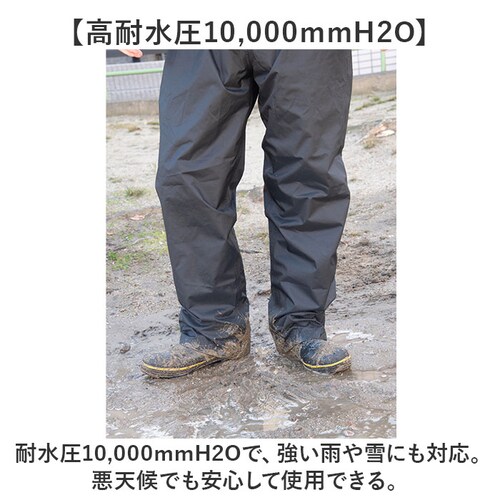 Makku �}�b�N ���C�� �p���c AS-957 �ʔ� ���C���p���c �J�� ���C���E�F�A ���C���E�G�A �J���H ���H �J�b�p ���C���h���b�v�J�o�[�p���c �J�΍� ���n �V���v�� �����Y ���f�B�[�X �j_7