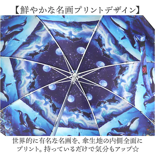 �܂肽���ݎP ���J���p �ʔ� �܂��ݎP ���J���p�P ���J���p�܂肽���ݎP ����J���p �J�P ���P ���� �J�T �P ���f�B�[�X 50cm UV�J�b�g �y�� �R���p�N�g ���� ��l ������� �I�V���� _2