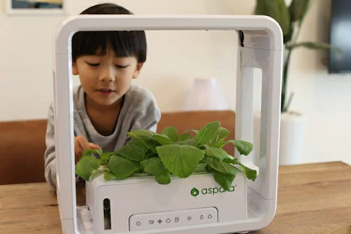 水耕栽培キット 通販 水耕栽培 野菜栽培 家庭菜園 屋内用水耕栽培キット 自動水やり 室内菜園 自動調整 アプリ管理 野菜育成 植物育成 コンパクト設計 スタイッリシュ ミニチュアガーデン お洒落 野_4