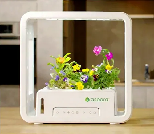 水耕栽培キット 通販 水耕栽培 野菜栽培 家庭菜園 屋内用水耕栽培キット 自動水やり 室内菜園 自動調整 アプリ管理 野菜育成 植物育成 コンパクト設計 スタイッリシュ ミニチュアガーデン お洒落 野_5