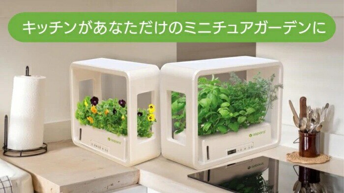 アスパラガーデン 水耕栽培キット 通販 水耕栽培 野菜栽培 家庭菜園
