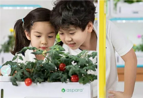 水耕栽培キット 通販 水耕栽培 野菜栽培 家庭菜園 屋内用水耕栽培キット 自動水やり 室内菜園 自動調整 アプリ管理 野菜育成 植物育成 コンパクト設計 スタイッリシュ ミニチュアガーデン お洒落 野_8