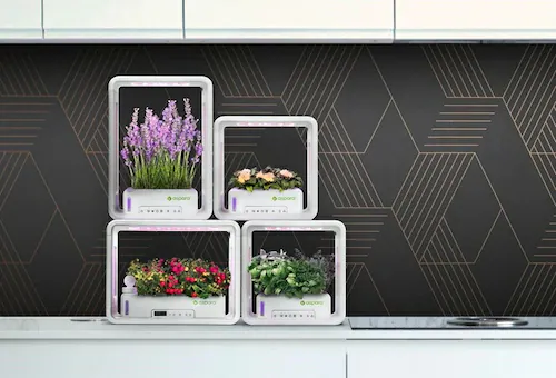 水耕栽培キット 通販 水耕栽培 野菜栽培 家庭菜園 屋内用水耕栽培キット 自動水やり 室内菜園 自動調整 アプリ管理 野菜育成 植物育成 コンパクト設計 スタイッリシュ ミニチュアガーデン お洒落 野_9