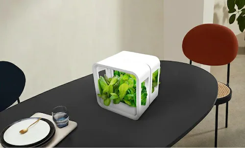 水耕栽培キット 通販 水耕栽培 野菜栽培 家庭菜園 屋内用水耕栽培キット 自動水やり 室内菜園 自動調整 アプリ管理 野菜育成 植物育成 コンパクト設計 スタイッリシュ ミニチュアガーデン お洒落 野_10