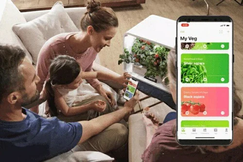 水耕栽培キット 通販 水耕栽培 野菜栽培 家庭菜園 屋内用水耕栽培キット 自動水やり 室内菜園 自動調整 アプリ管理 野菜育成 植物育成 コンパクト設計 スタイッリシュ ミニチュアガーデン お洒落 野_11