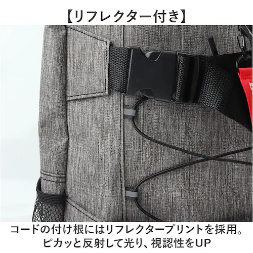 �����b�N �����Y �J�W���A�� �ʔ� �����Y�����b�N �o�b�N�p�b�N �����b�N�T�b�N ��e�� ���@�\ �ʋ� �ʊw �r�W�l�X ���f�B�[�X ��l �X�P�[�g�{�[�h ������� �h�� �A�E�g�h�A �L�����v ���s �o_11