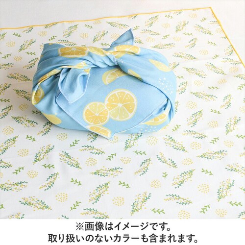 �����`�N���X ��l �ʔ� ���{�� ���ٓ���� ���ٓ��N���X �����`�����}�b�g �i�t�L�� �����C�~ �n���J�` ������� ���킢�� ���C�~ �ӂ낵�� 45cm ��100% �ԕ� ���̎q ���� ���q ���w��_1