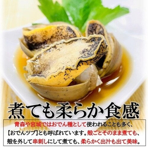 ����т� (1�s ��30���O�� / �X���Y ���X�\�K�C/�Ⓚ) ��䥂� �V�R �ԊL ���ł�� ���L ������ ���܂� ������ �X���ł�_2