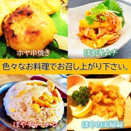 �������݂ق� 200g/PC �^���t�� �Ⓚ ���H�p �ق� �h�g �z�� �C�� �O�� �ނ��z�� �z���| �ق�h_6