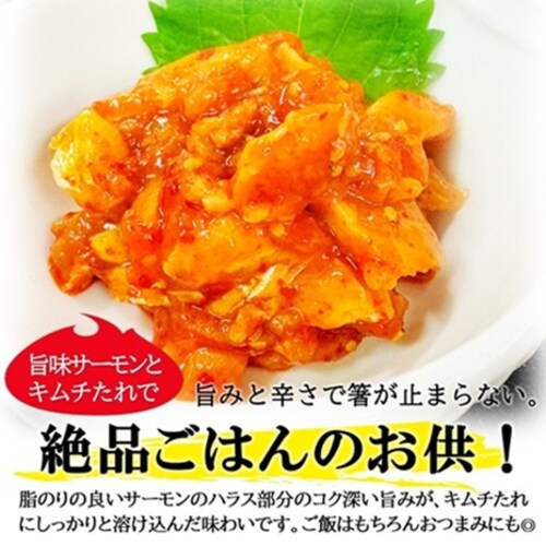 �T�[���� ���b�P�� 500g �Ɩ��p �T�[�����L���` ���܂� �C�N ���b�P�� �؍��� ���܂� ���� ���т̂����y������s�z_2