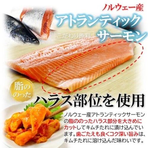 �T�[���� ���b�P�� 500g �Ɩ��p �T�[�����L���` ���܂� �C�N ���b�P�� �؍��� ���܂� ���� ���т̂����y������s�z_3