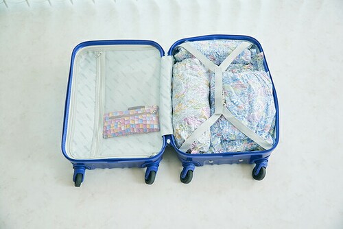 �ߗ� ���k�� �ۂ߂邾�� �ʔ� �A���t�@���X EF-SR10 ����y�{�^�j�J�����ߗވ��k���s�� �ߗވ��k�ܗ��s�p �ߗވ��k�� ���s�p���k�� �ߗގ��[ �|���@�s�v ������� ���킢�� ���[�p�i �ȒP ��_9