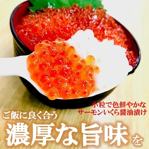 �󂠂� �T�[���� ������ �ݖ��Ђ� 400���i200g�~2PC�j �����瘥 �C�N���ݖ��Ђ� ���� �C�N�� ������ �C�N��_1