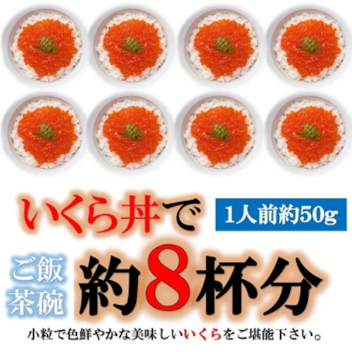 �󂠂� �T�[���� ������ �ݖ��Ђ� 400���i200g�~2PC�j �����瘥 �C�N���ݖ��Ђ� ���� �C�N�� ������ �C�N��_2