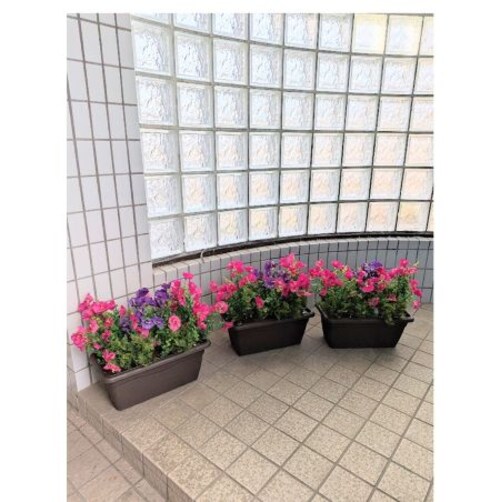 ���ԁ@�y�`�j�A�v�����^�[�@3�_�Z�b�g�@�t���o�@�W����@�V���[���[���@�I�t�B�X�@��������_1