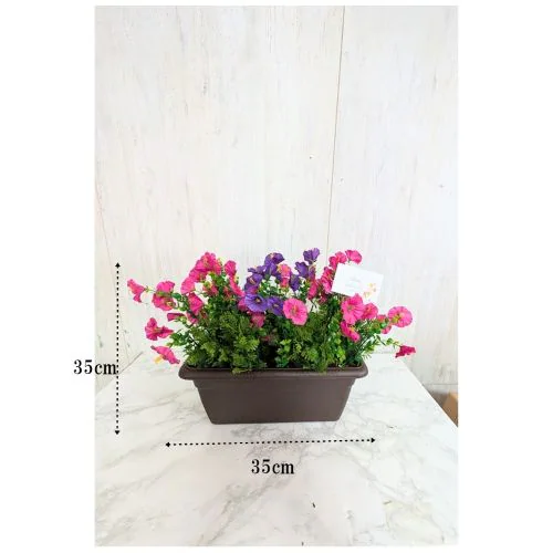 ���ԁ@�y�`�j�A�v�����^�[�@3�_�Z�b�g�@�t���o�@�W����@�V���[���[���@�I�t�B�X�@��������_2