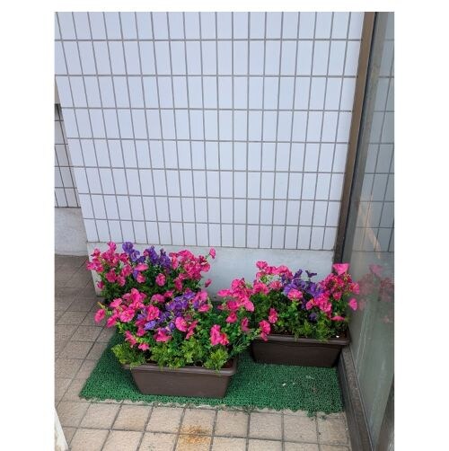 ���ԁ@�y�`�j�A�v�����^�[�@3�_�Z�b�g�@�t���o�@�W����@�V���[���[���@�I�t�B�X�@��������_3