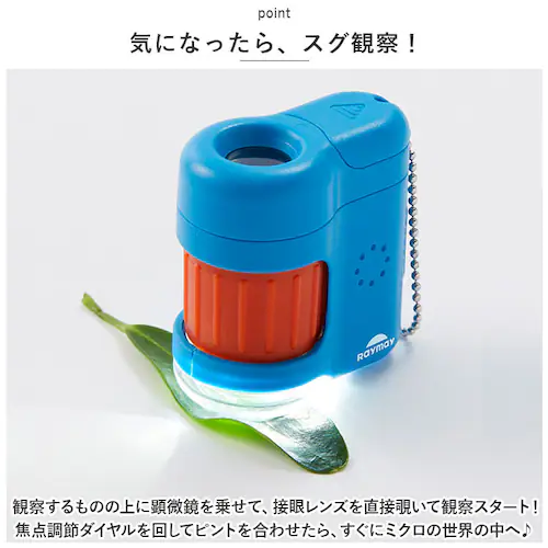 ������ �q�� �ʔ� �n���f�B������ petit ���C���C���� RXT1142 20�{ ���w�� �q���p �R���p�N�g �w�K�p �ώ@ ���R���� ���w�� ���� ���� ���� �X�}�z�B�e �v�` ������ �����^�� _3