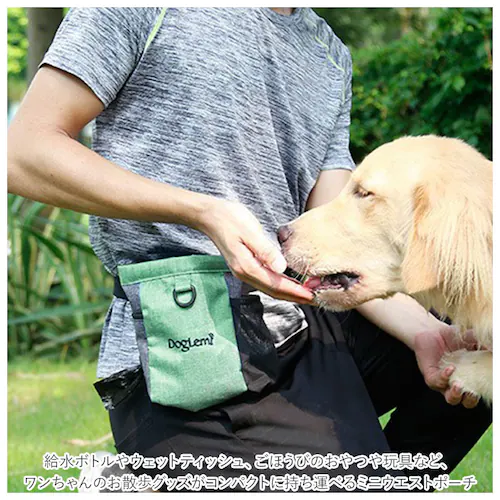 �������� �|�[�` ���� �ʔ� �E�G�X�g�|�[�` �P���o�b�O �P�� ������� �a���� �`���[�N�o�b�O �S�~�� �x���g �o�b�O �g���[�j���O ���t�[�h 3WAY �g�� �� �}�O�l�b�g �J�֗� �o�R ����_2