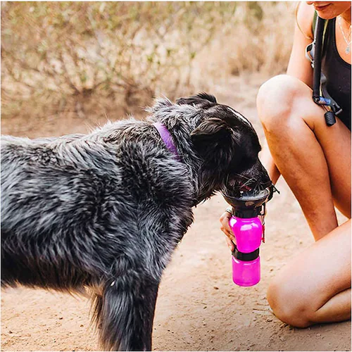 �� ������ �U�� �ʔ� ������ �M�t�� ���� �E�H�[�^�[�{�g�� �g�ѐ��� �����݊� �{�E�� �{�g�� �y�b�g�p������ �����{�g�� ������ ���^�� ���^�� ��^�� ���s �֗��O�b�Y ���U���O�b�Y ���o����_2