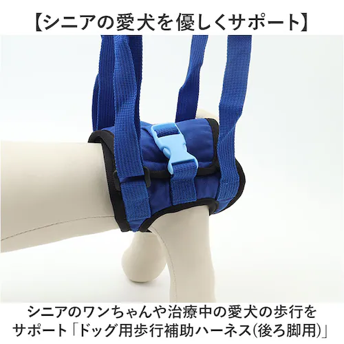 �n�[�l�X �� ��� ��둫 �ʔ� ���p�n�[�l�X �⏕ �㑫�p ���^�� ���^�� ��^�� �V�j�A�� �V�� ���n�r�� ���� �T�|�[�g ���p�i ���s �y�b�g �y�b�g�O�b�Y ���p�i �V����� ��Q �P�K �a_1