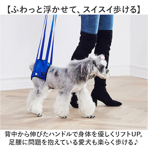 �n�[�l�X �� ��� ��둫 �ʔ� ���p�n�[�l�X �⏕ �㑫�p ���^�� ���^�� ��^�� �V�j�A�� �V�� ���n�r�� ���� �T�|�[�g ���p�i ���s �y�b�g �y�b�g�O�b�Y ���p�i �V����� ��Q �P�K �a_6