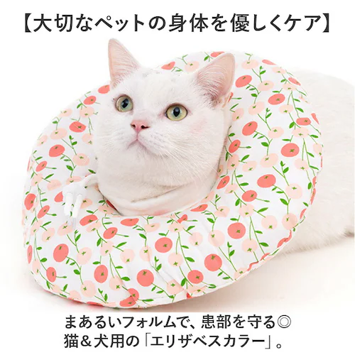 �G���U�x�X�J���[ �\�t�g ���p �L�p �ʔ� �L�p�G���U�x�X�J���[ ���p�G���U�x�X�J���[ �G���U�x�X �J���[ �\�t�g�^�C�v �h�[�i�c �_�炩�� ���� �˂� �C�k �l�R �y�b�g ���r�ߖh�~ ��p��_1