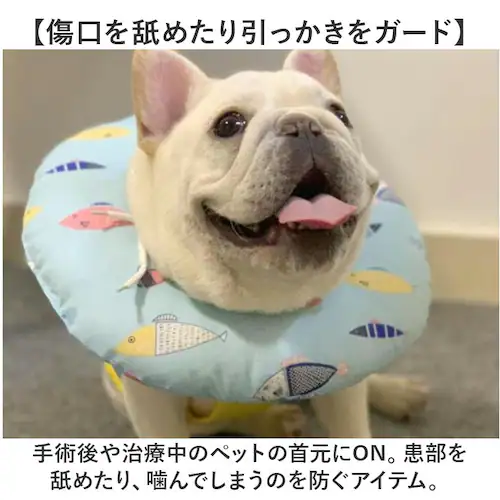 �G���U�x�X�J���[ �\�t�g ���p �L�p �ʔ� �L�p�G���U�x�X�J���[ ���p�G���U�x�X�J���[ �G���U�x�X �J���[ �\�t�g�^�C�v �h�[�i�c �_�炩�� ���� �˂� �C�k �l�R �y�b�g ���r�ߖh�~ ��p��_2