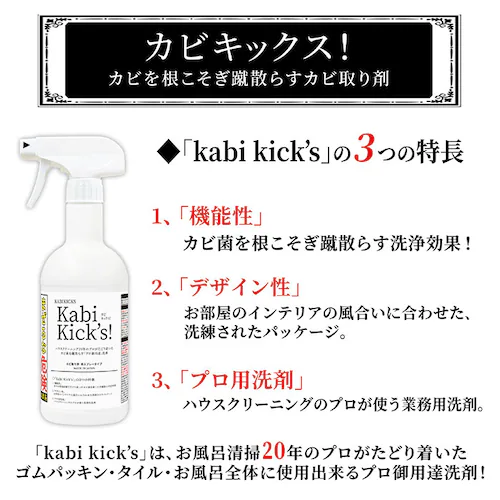 カビ取り剤 カビキックス 通販 KABIKICKS スプレー カビ 掃除用洗剤 掃除用品 掃除用具 業務用 ゴムパッキン エアコン タイル お風呂 浴槽 浴室 風呂 ユニットバス キッチン 台所 トイ_2