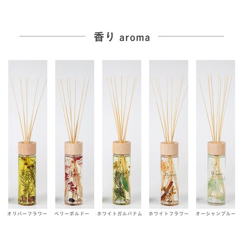 B-nature ���[�h�f�B�t���[�U�[ 430ml �ʔ� �X�e�B�b�N �F���� �t���O�����X ���[���t���O�����X �f�B�t���[�U�[ ������� ��e�� �X�e�B�b�N�^�C�v ���� ���r���O �g�C�� ���� �G�� _2