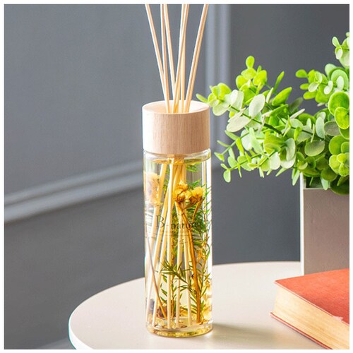 B-nature ���[�h�f�B�t���[�U�[ 430ml �ʔ� �X�e�B�b�N �F���� �t���O�����X ���[���t���O�����X �f�B�t���[�U�[ ������� ��e�� �X�e�B�b�N�^�C�v ���� ���r���O �g�C�� ���� �G�� _4