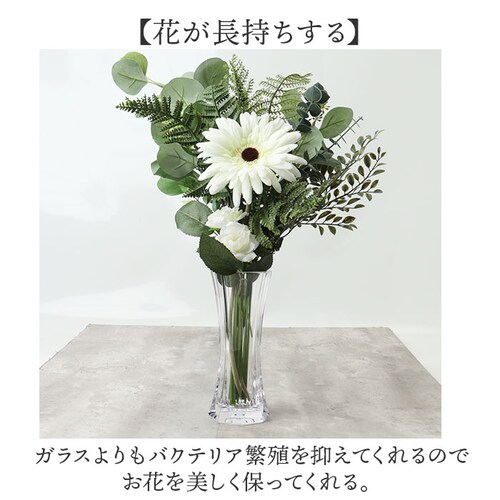 �ԕr ������� �ʔ� �t�����[�x�[�X �Ԃт� �Ԋ� PV�x�[�X �|���J�[�{�l�[�g ���т� ���� �N���A ����ɂ��� �z���C�G 2300068 �v���X�`�b�N �X�����I�N�^�S�� �v�� ���킢�� �y�� ����_5