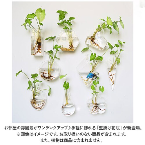 �Ǌ|�� �ԕr �ʔ� ��֑}�� �t�����[�x�[�X �K���X �Ԃт� �Ԋ� ������ �R���p�N�g �t�b�N�t�� �|��Ȃ� ������ ���� �N���A �Ǐ��� �E�H�[���f�R ���r���O �C���e���A ���k�͔| ������� �I�V_1