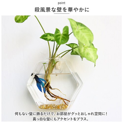 �Ǌ|�� �ԕr �ʔ� ��֑}�� �t�����[�x�[�X �K���X �Ԃт� �Ԋ� ������ �R���p�N�g �t�b�N�t�� �|��Ȃ� ������ ���� �N���A �Ǐ��� �E�H�[���f�R ���r���O �C���e���A ���k�͔| ������� �I�V_2