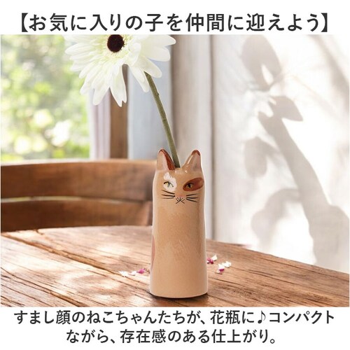 �t�����[�x�[�X ������ �L �ʔ� �ԕr �Ԋ� �L���b�g�t�����[�x�[�X �L�b�`���c�[���X�^���h ������ �˂� �l�R �L�O�b�Y �˂����`�[�t �L���`�[�t ���킢�� ������� ���� �I�V���� �i�`������ _2