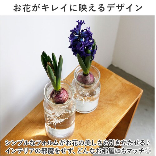 �t�����[�x�[�X �K���X �ʔ� �����[�Y�K���X �o���u �{�g�� L �ԕr ������� �t�����[�|�b�g �K���X�{�g�� �Ԃт� �g 19cm �傫�� ���T�C�N���K���X �� �� �ϗt�A�� �K�[�f�j���O �x�����__3