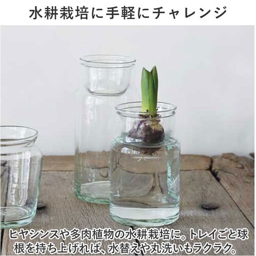 �t�����[�x�[�X �K���X �ʔ� �����[�Y�K���X �o���u �{�g�� L �ԕr ������� �t�����[�|�b�g �K���X�{�g�� �Ԃт� �g 19cm �傫�� ���T�C�N���K���X �� �� �ϗt�A�� �K�[�f�j���O �x�����__4