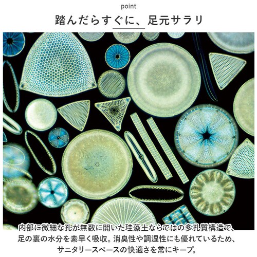 soil �\�C�� �o�X�}�b�g �]���y ���{�� �ʔ� �����}�b�g ���� �}�b�g ���@�� �]���y�o�X�}�b�g �k�� �����C�� ���� �z�� ����ɂ��� ���C �G�ꂽ�� ���K ���Y �������_3